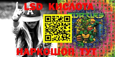 гашик Кандалакша