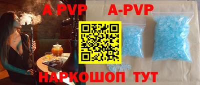 стафф Кингисепп