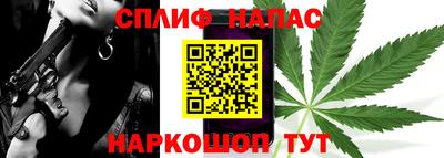 гашик Кандалакша