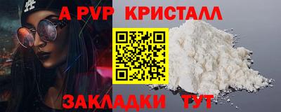 стафф Кингисепп